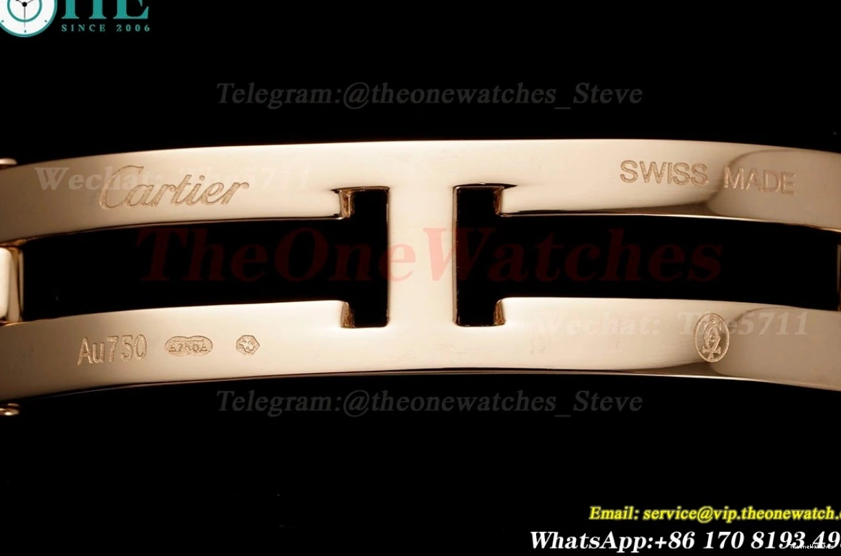 Secrete RG Ladies De RG Quartz Panthere Dial AF 27mm Mop 0123